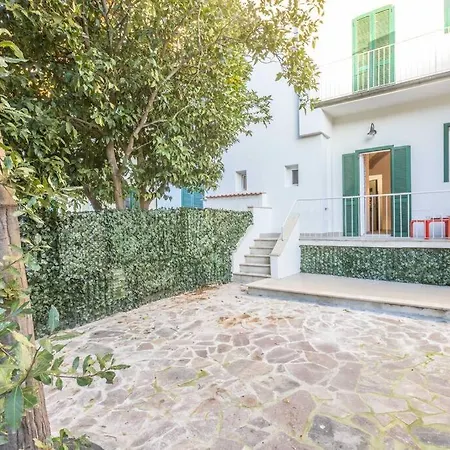 Careggi, Meyer, Cto Con Giardino Appartamento